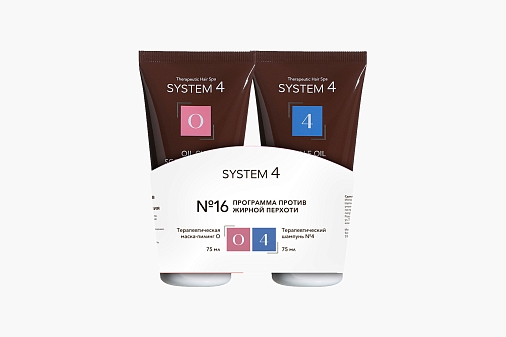 System 4 Program 16