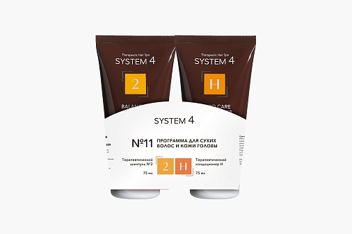 System 4 Program 11