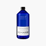 Keune 1922 by J. M. Keune Essential Shampoo