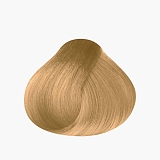 Concept Profy Touch 8.0