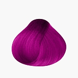 Nirvel Professional Fuchsia Nutre Color
