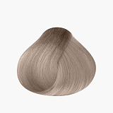 Concept Profy Touch 9.1