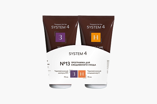 System 4 Program 13